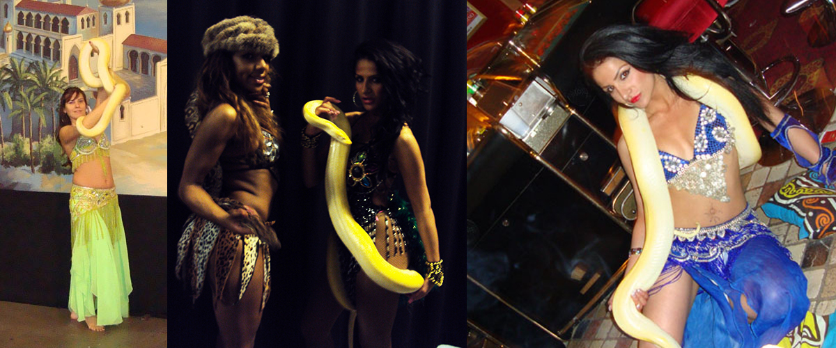 Slangenbezweerster Aaliyah